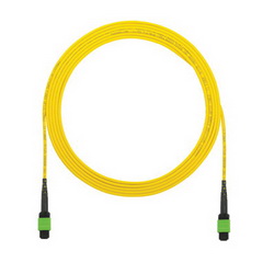 Fiber Optic Multiple Cable Assemblies