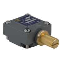 Limit Switches & Accessories