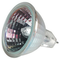 Projection Lamps