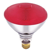 Incandescent - Flood Bulbs