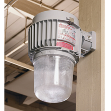 Light Fixture Guards