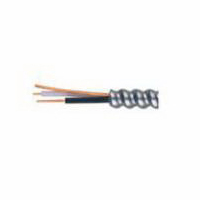 Armored Wires & Cables